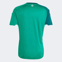 Maillot Sélection Irlande du Nord I - 26/27