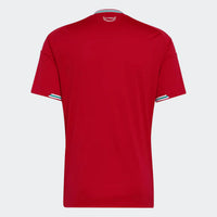 Maillot Sélection Pays de Galles I - 26/27