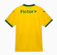Maillot Palmeiras III 25/26