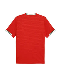 Maillot Sélection Portugal I 25/26