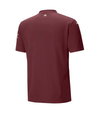Maillot Manchester City III 24/25 - Vin